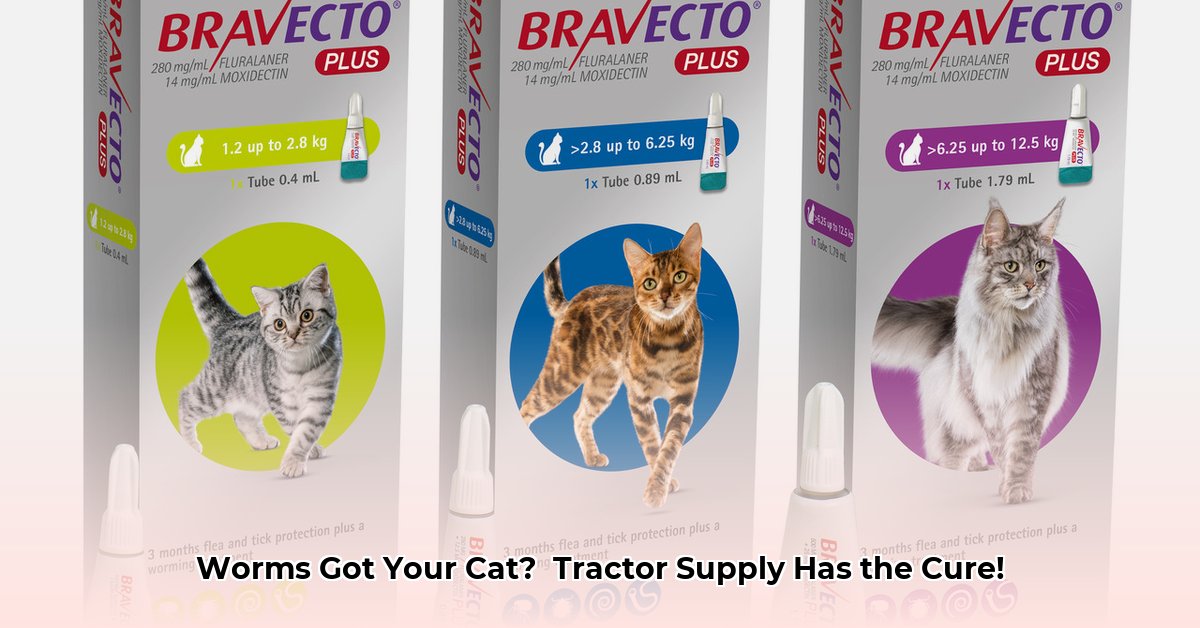 cat-wormer-at-tractor-supply